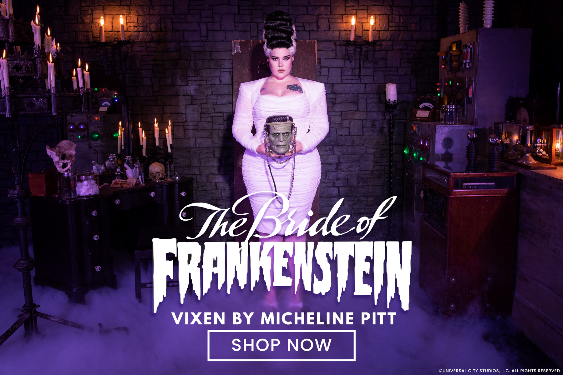 Vixen by Micheline Pitt