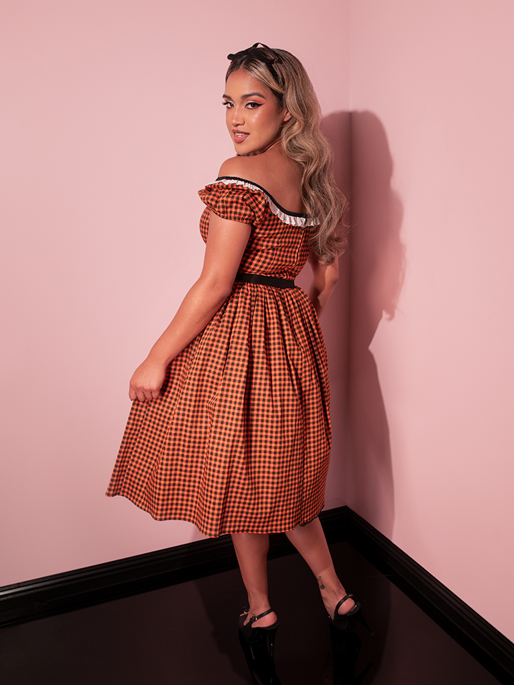 gingham retro dress Pink Gingham Meadow Dress - Medium